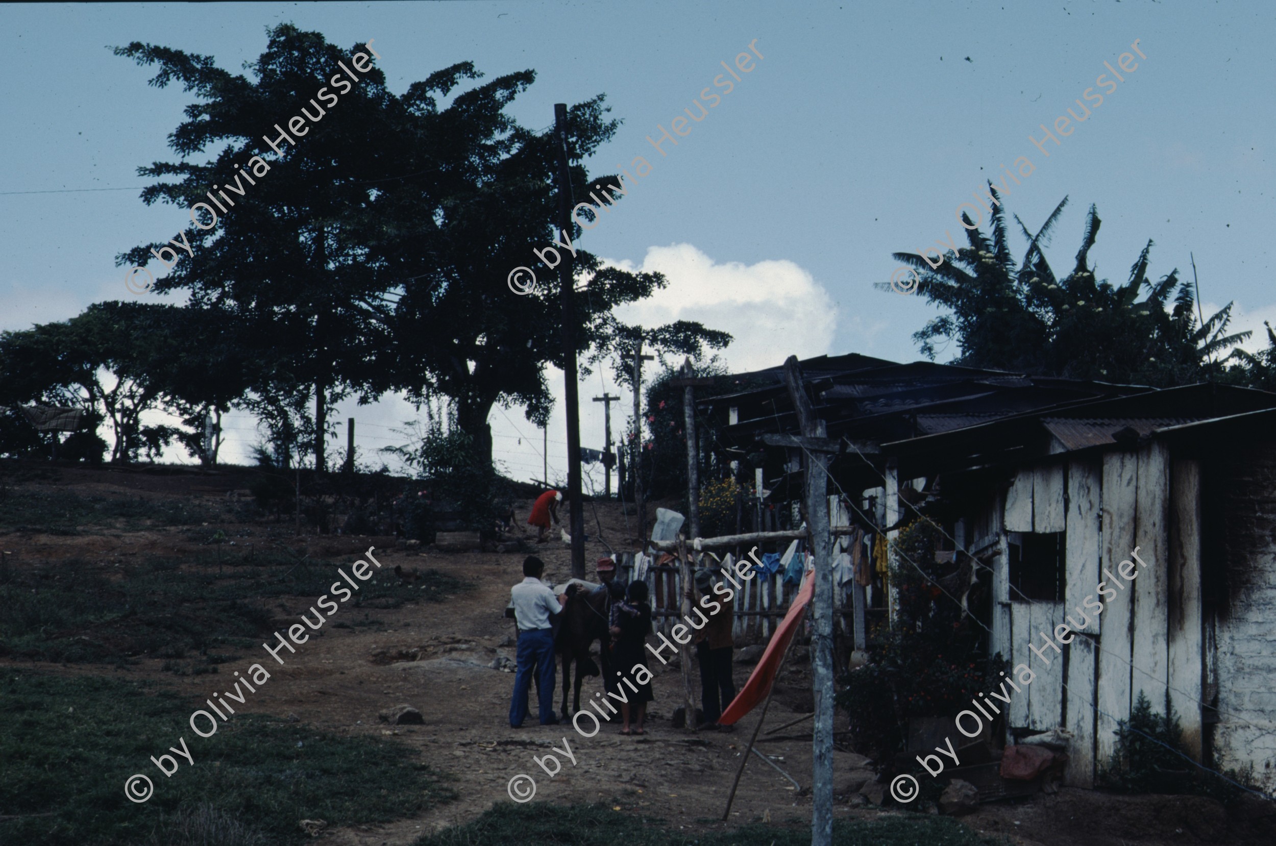 Image of sheet 19863000 photo 25: zur bearbeitung