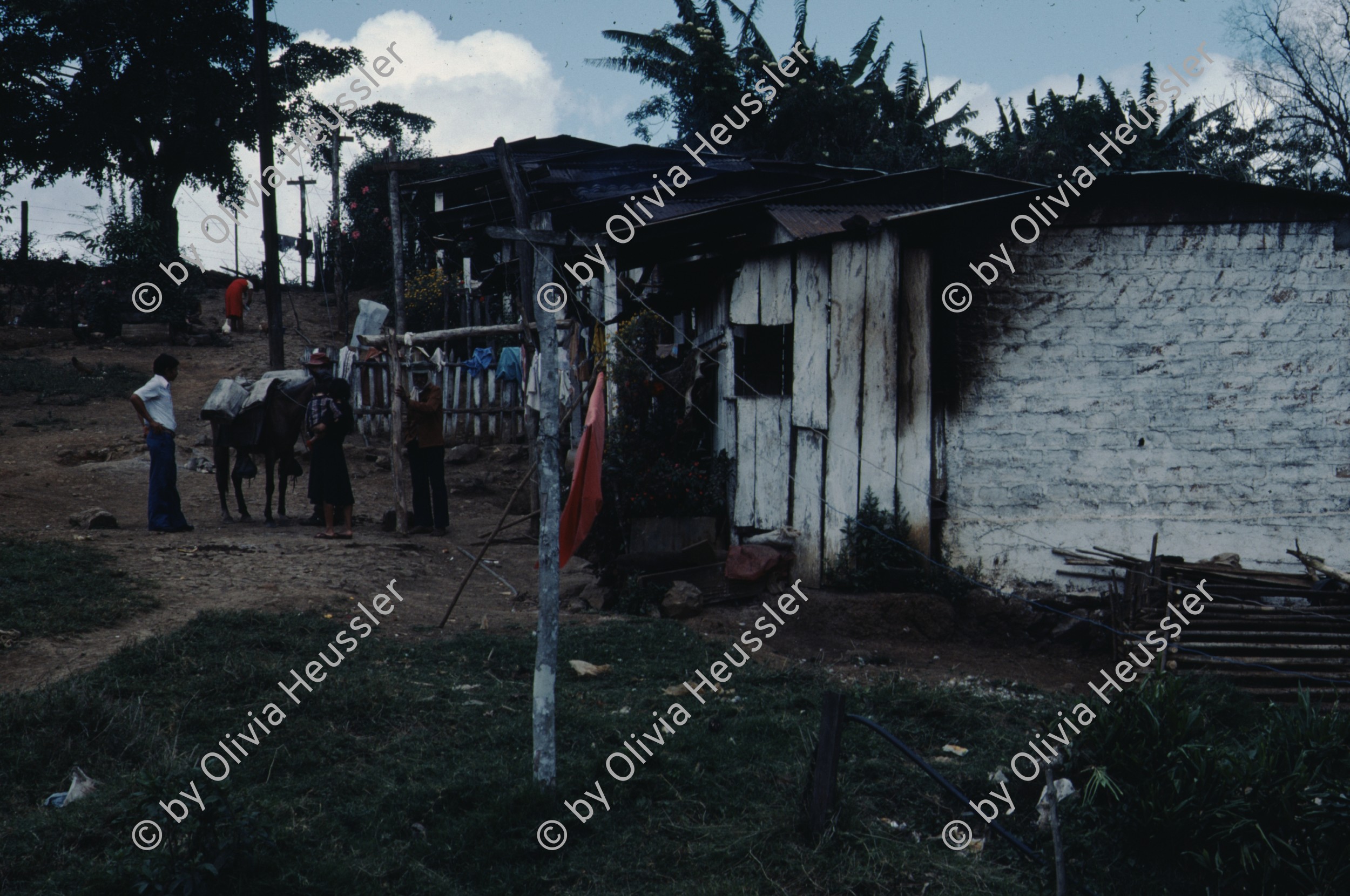 Image of sheet 19863000 photo 26: zur bearbeitung