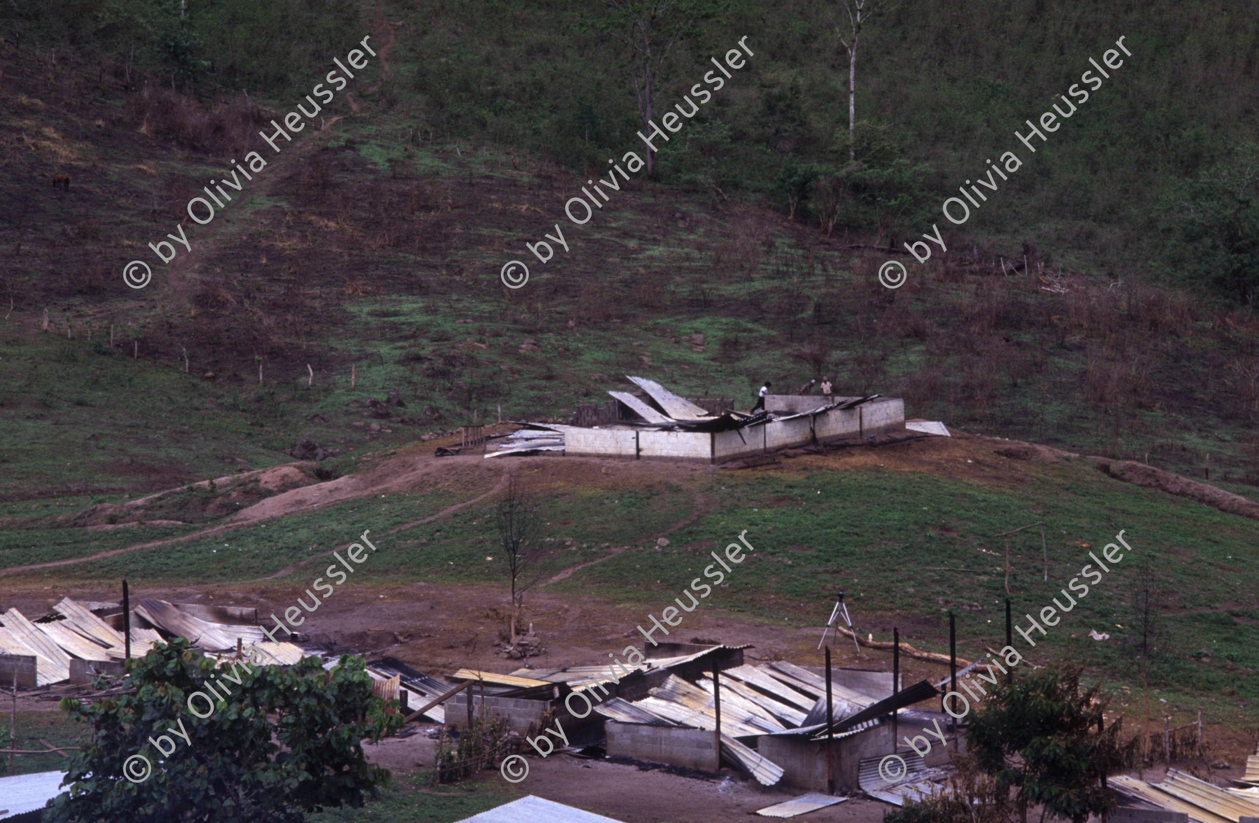 Image of sheet 19863000 photo 6: l