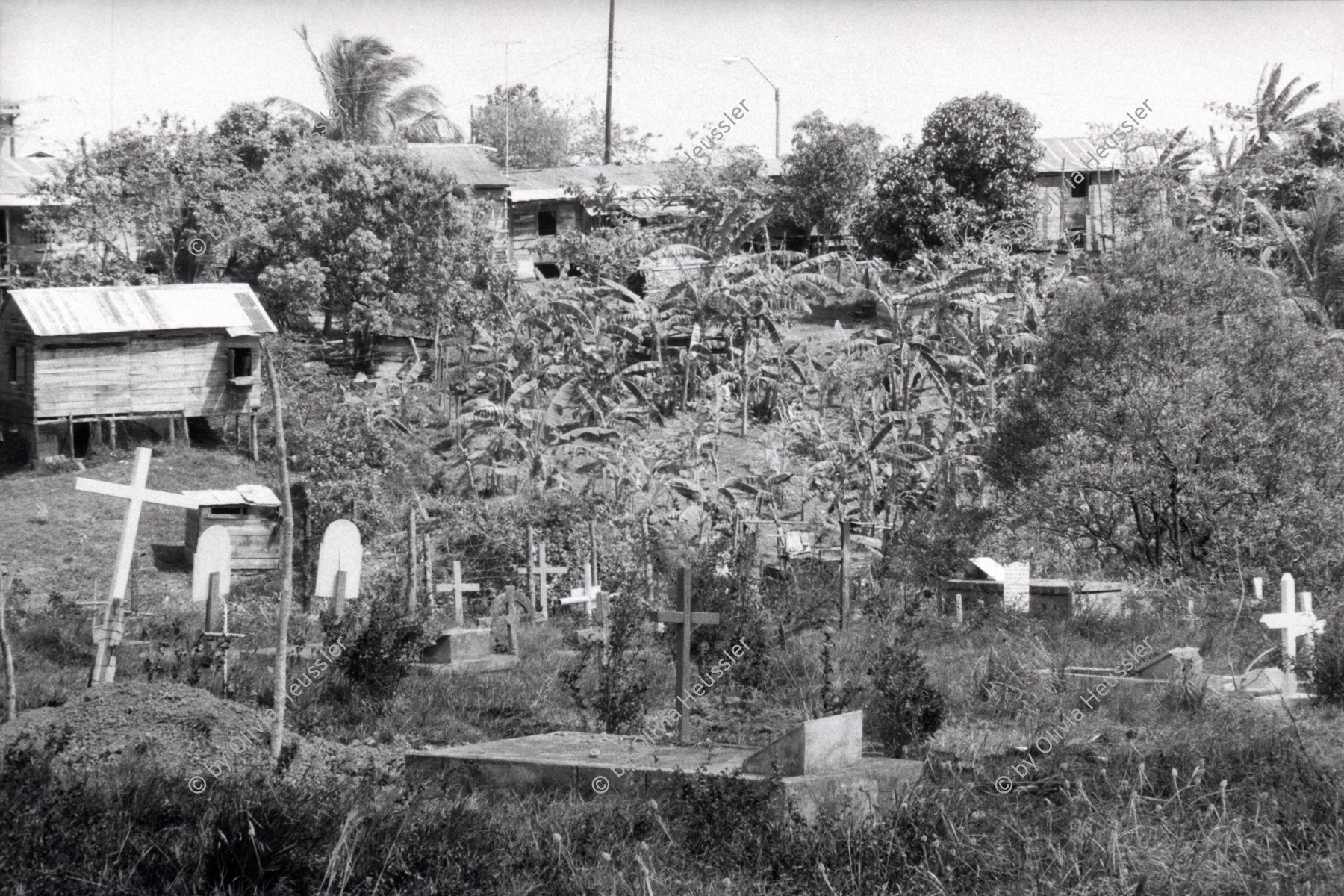 Image of sheet 19870020 photo 13: Uebersicht auf Häuser Bluefields. Bananenpalmen  RAAS 
Kreuze und Häuser Hütten. Wilder Friedhof Wild Cemetery 

Región Autónoma del Atlántico Sur for Autonomous Region of the Southern Atlantic, sometimes shortened to RAAS, is one of two autonomous regions in Nicaragua. It covers an area of 27,407 km² and has a population of 382,100 (2005 census). The capital is Bluefields.

1987 Nicaragua √