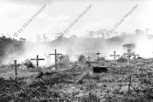 Image of sheet 19870020 photo 14: Im Friedhof von Bluefields, Nicaraguanische Atlantikküste. 10.87 Cemetery Nicaragua RAAS 1987 
Región Autónoma del Atlántico Sur (Spanish for "Autonomous Region of the Southern Atlantic"), sometimes shortened to RAAS, is one of two autonomous regions in Nicaragua. It covers an area of 27,407 km² and has a population of 382,100 (2005 census). The capital is Bluefields. √