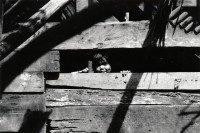 Image of sheet 19870020 photo 29: Kleines Miskito Indianer Mädchen in Rama-Key an der Nicaraguanischen Atlantikküste. 10.87 RAAS Nicaragua 1987 √
Región Autónoma del Atlántico Sur (Spanish for "Autonomous Region of the Southern Atlantic"), sometimes shortened to RAAS, is one of two autonomous regions in Nicaragua. It covers an area of 27,407 km² and has a population of 382,100 (2005 census). The capital is Bluefields.
