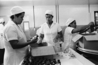 Image of sheet 19870040 photo 1: Frauen arbeiten in der staatlichen Chemiefabrik Solka in Managua. Nicaragua 1987 √