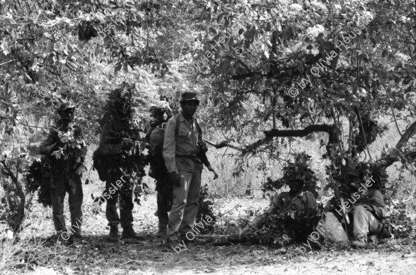 Image of sheet 19870050 photo 20: Ejercito Pobular Sandinista EPS  Sandinisten Army Military Miltär Manöver in der Nähe des Vulkan Telica in Chinandega. Artillerie und Infanterie Soldat alleine. Für SI mit Hanspeter Bürgin. Nicaragua 1987 √  soldier AK-47