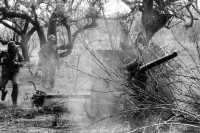 Image of sheet 19870050 photo 31: Ejército Pobular Sandinista EPS Sandinisten Army Military Miltär macht Manöver in der Nähe des Vulkan Telica in Chinandega. Die Soldaten tarnen sich mit Blätter und Aesten eines Baum und Infanterie. Getarnte Armee Soldier Army Military Soldat Nicaragua 1987 tarnung
√ soldier troops army military eps sandinist central america war training camouflage anti tank cannon system soviet mobile