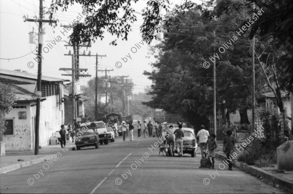 Image of sheet 19870070 photo 2: Vor der Eisfabrik in Managua. Meine Nachbarin. Erismannhof Sonnenbad im Hof. Portrait Nationalrat Prof.  Franz Jäger Landesring der Unabhängigen LDU. Professor an der HSG Wirtschafts Hochschule St. Gallen , Präsident des LDU. Zu Hause in St. Georgien St. Gallen Biotop .(SI) Schweiz Politik Politics Portrait Nicaragua 1987
political party partei