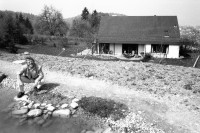 Image of sheet 19870070 photo 35: Portrait Nationalrat Prof.  Franz Jäger Landesring der Unabhängigen LDU. Professor an der HSG Wirtschafts Hochschule St. Gallen , Präsident des LDU. Zu Hause in St. Georgien St. Gallen Biotop . (SI) Schweiz Politik Politics Portrait 1987 politics Switzerland swiss
political party partei swiss canciller national chancellor privat house home privacy  √