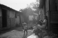 Image of sheet 19870070 photo 4: Vor der Eisfabrik in Managua. Meine Nachbarin. Erismannhof Sonnenbad im Hof. Portrait Nationalrat Prof.  Franz Jäger Landesring der Unabhängigen LDU. Professor an der HSG Wirtschafts Hochschule St. Gallen , Präsident des LDU. Zu Hause in St. Georgien St. Gallen Biotop .(SI) Schweiz Politik Politics Portrait Nicaragua 1987
political party partei