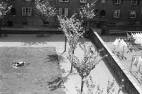 Image of sheet 19870080 photo 28: Frtsg. 870070 Portrait Franz Jäger .mit drahtlosem Telefon. Erismannhof Bäume mit Blüten. Hof. Wäsche. Sonnenbad.
