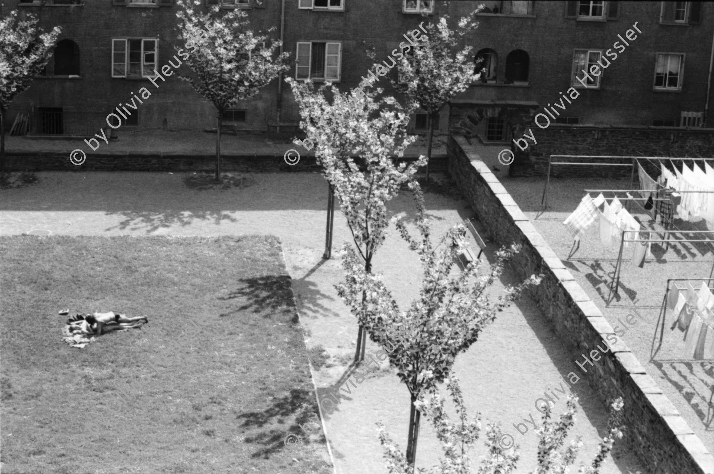 Image of sheet 19870080 photo 28: Frtsg. 870070 Portrait Franz Jäger .mit drahtlosem Telefon. Erismannhof Bäume mit Blüten. Hof. Wäsche. Sonnenbad.