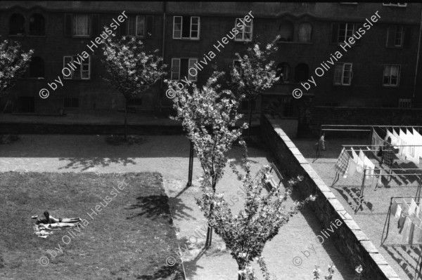 Image of sheet 19870080 photo 29: Frtsg. 870070 Portrait Franz Jäger .mit drahtlosem Telefon. Erismannhof Bäume mit Blüten. Hof. Wäsche. Sonnenbad.
Portrait Nationalrat Prof. Franz Jäger Landesring der Unabhängigen LDU. Professor an der HSG Wirtschafts Hochschule St. Gallen , Präsident des LDU. Zu Hause in St. Georgien St. Gallen Biotop . (SI) Schweiz Politik Politics Portrait 1987 politics Switzerland swiss
political party partei swiss canciller national chancellor privat house home privacy