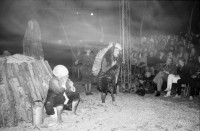 Image of sheet 19870180 photo 8: Federlos Zirkus Theater mit Anna Barbara, Silvano Speranza, Marcel Joller, Ueli Bichsel, Mathis Pilloud, Rote Fabrik, Zürich 1987.