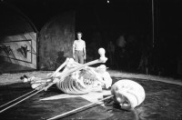 Image of sheet 19870190 photo 35: frtsg. 870180 Zirkus Theater Federlos mit Skelett.