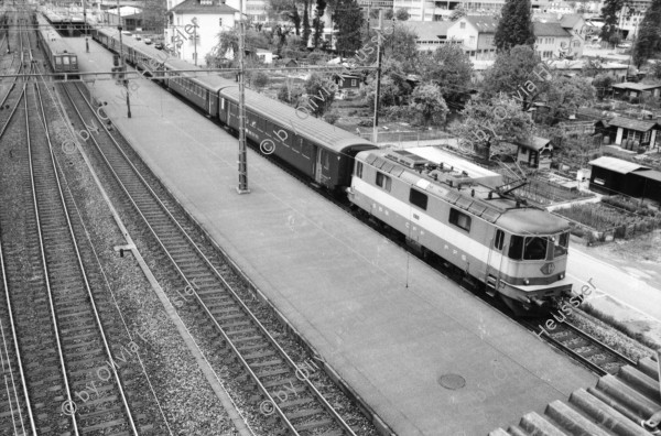 Image of sheet 19870213 photo 14: frtsg. 870212 Portrait Schrifsteller Johannes Mario Simmel. Zürichsee, Schafe, Zug Geleise von Europabrücke. Nordmende Schild Zug mit Lockomotive 
Transport Schweiz Switzerland 1987 culture