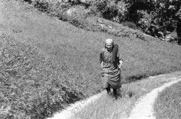 Image of sheet 19870250 photo 12: Frauen Protest Wanderung gegen Staudamm Projekt im Val Madris Kanton Graubünden nach Soglio ins Bergell über 'Bregalia' Pass. Granit Steindächer Berge Uebersicht. Alte Bäuerin auf dem Weg. Frauen Gruppe. Protest im Dorf mit Präsenz von Einwohner. Wald Sterben Waldsterben. Kanton Graubünden 1987 Schweiz