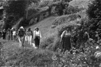 Image of sheet 19870250 photo 15: Frauen Protest Wanderung gegen Staudamm Projekt im Val Madris Kanton Graubünden nach Soglio ins Bergell über 'Bregalia' Pass. Granit Steindächer Berge Uebersicht. Alte Bäuerin auf dem Weg. Frauen Gruppe. Protest im Dorf mit Präsenz von Einwohner. Wald Sterben Waldsterben. Kanton Graubünden 1987 Schweiz
