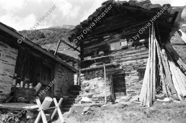 Image of sheet 19870250 photo 6: Frauen Protest Wanderung gegen Staudamm Projekt im Val Madris Kanton Graubünden nach Soglio ins Bergell über 'Bregalia' Pass. Granit Steindächer Berge Uebersicht. Alte Bäuerin auf dem Weg. Frauen Gruppe. Protest im Dorf mit Präsenz von Einwohner. Wald Sterben Waldsterben. Kanton Graubünden 1987 Schweiz