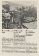 Image of sheet 19870251 photo 18: Frauen Protest Wanderung gegen den Plan eines Pumpspeicherkraftwerks im Val Madris Passüberquerung auf alter Kuh Rinder Treppe ins Bergell. Graubünden 1987 √
Schweiz Strommarkt Strom Energie Switzerland water energy power women cattle step mountain valley Europe