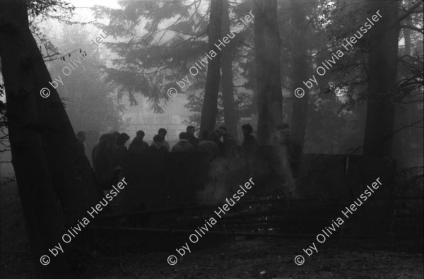 Image of sheet 19870360 photo 1: Barrikade brennt im Wald. Zürich 1987