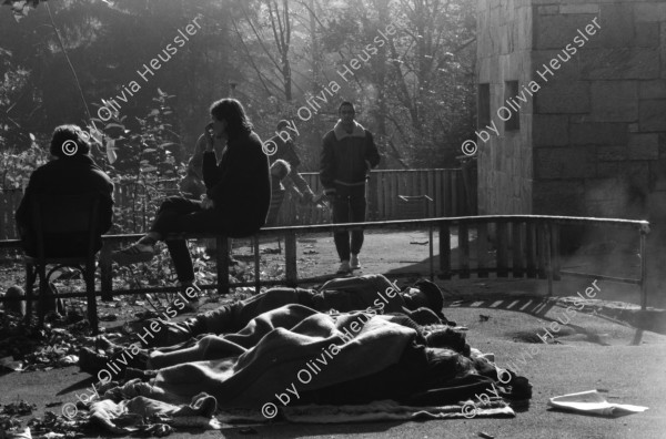 Image of sheet 19870360 photo 13: frtsg. 870360 Hausbesetzung Besetzung Restaurant Annaburg auf dem Uetliberg. Barrikade Besucher und Passanten. Journalistin von Radio 24. Frühstück 
Schlafende in Morgenlicht. Punker im Military mit Nieten u.s.w. Stile schläft draussen. Barrikade brennt im Wald. Zürich 1987