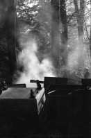 Image of sheet 19870360 photo 17: Barrikade brennt im Wald. Zürich 1987
