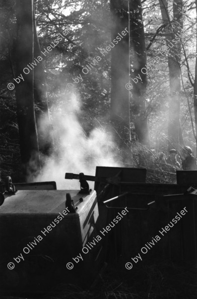 Image of sheet 19870360 photo 17: Barrikade brennt im Wald. Zürich 1987