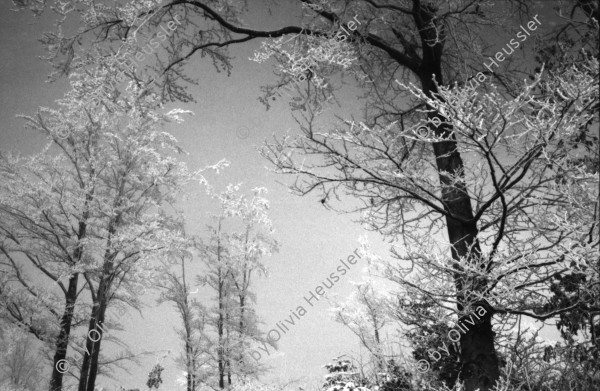 Image of sheet 19870370 photo 2: altes Bauernhaus Schulhaus, Vacherin wird angeboten. Pferd steht im Schnee. Olivia Bodo Lamparski an der Ausstellung in Wangen b. Dübendorf Kulturnäpfli, Züri-Nica Fotoasusstellung Photoausstellung Zürich Nicaragua 1987