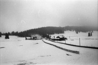 Image of sheet 19870370 photo 8: altes Bauernhaus Schulhaus, Vacherin wird angeboten. Pferd steht im Schnee. Olivia Bodo Lamparski an der Ausstellung in Wangen b. Dübendorf Kulturnäpfli, Züri-Nica Fotoasusstellung Photoausstellung Zürich Nicaragua 1987
