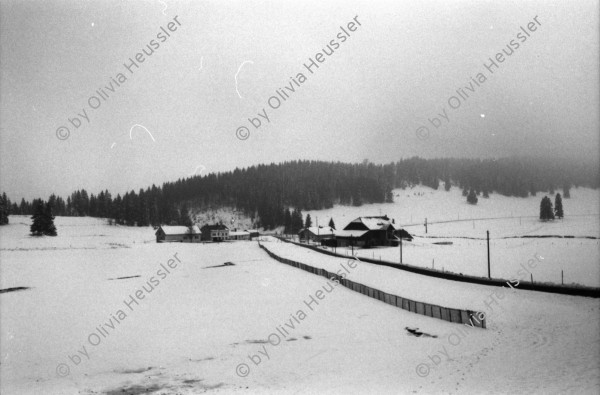 Image of sheet 19870370 photo 8: altes Bauernhaus Schulhaus, Vacherin wird angeboten. Pferd steht im Schnee. Olivia Bodo Lamparski an der Ausstellung in Wangen b. Dübendorf Kulturnäpfli, Züri-Nica Fotoasusstellung Photoausstellung Zürich Nicaragua 1987