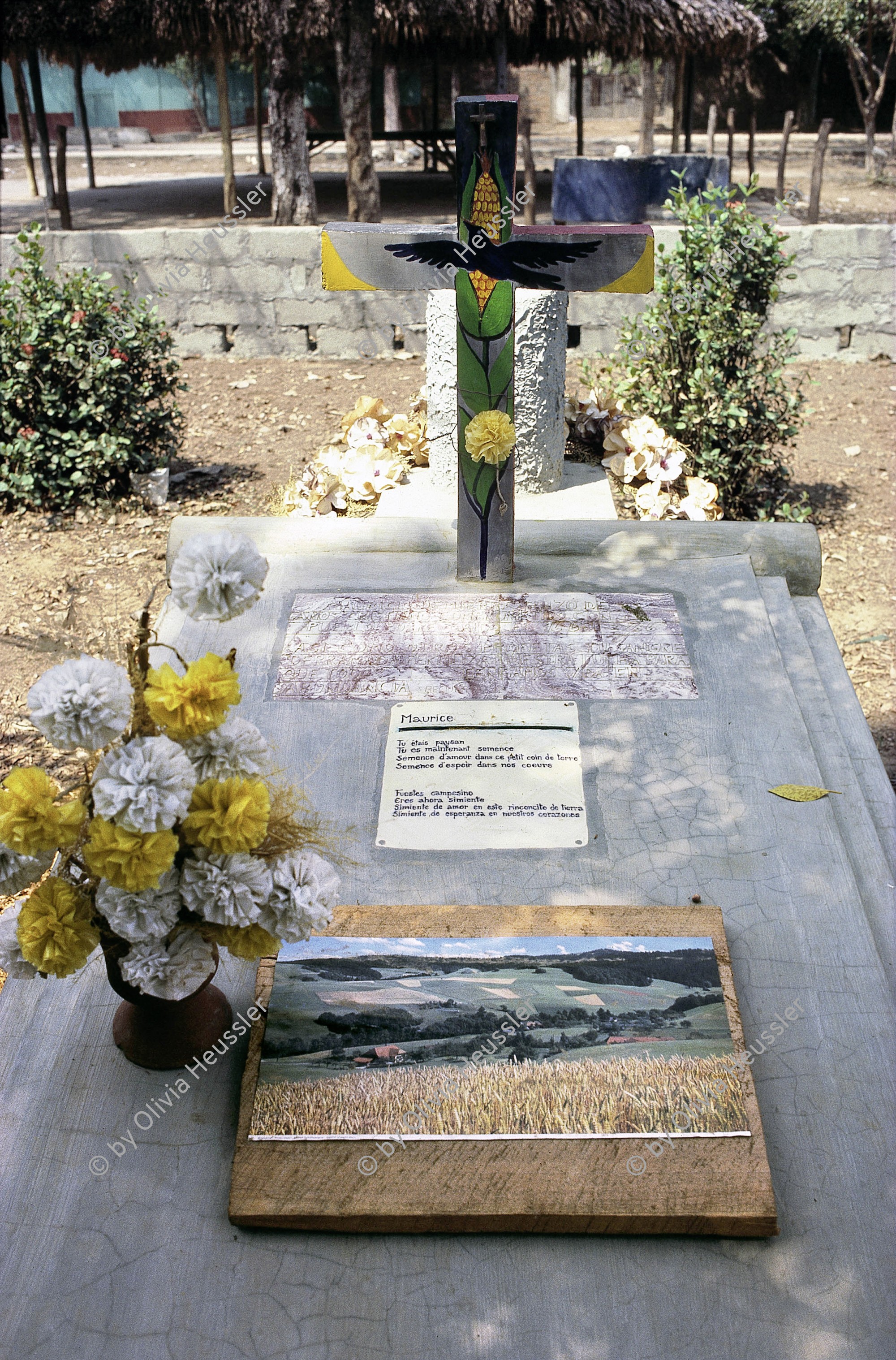 Image of sheet 19873000 photo 22: Grab des Schweizer Agronomen und Entwicklungshelfers
Maurice Demierre. Er wurde zusammen mit fünf Frauen am 16. Februar 1986 durch eine US -amerikanische Mine der Contras in Somotillo getötet. Somoto, Dep. Madriz, 1987
KRIEG; ENTWICKLUNGSHILFE; Helfer; Entwicklung; Schweizer; Brigadist; Grab; Blumen; Schmuck; Friedhof; Nicaragua; Tod; Contra; Solidaritaet; Holz; Kreuz
Aus: «Der Traum von Solentiname» EPF, Zürich 
«El Sueño de Solentiname» IHNCA Managua p.116