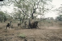 Image of sheet 19873002 photo 17: Nicaragua 1987.