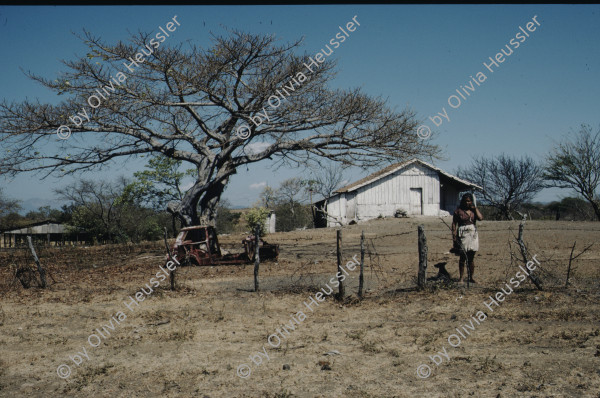 Image of sheet 19873002 photo 20: Nicaragua 1987.