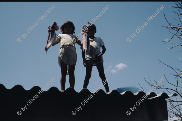 Image of sheet 19873002 photo 21: Nicaragua 1987.