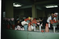 Image of sheet 19873005 photo 15: zur bearbeitung