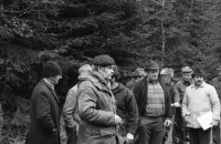Image of sheet 19880040 photo 10: alter Männer stehen zusammen an Holzgant.Sie schreiben sich die Preise auf. Percy Heussler ist auch dabei. Nr. 12 und 13. Die langen Holz Stiehle zum Cervelats Braten liegen bereit. Die Männer braten Cervelats über dem Feuer. Ein alter Mann zeigt in die Luft. Die Cervelats liegen zum Braten bereit. Die Männer geniessen etwas warmes in der winterlichen Kälte. (!) Holzgant Holzverarbeitung Fällanden Kanton Zürich Schweiz wood forest market man men meat sausage