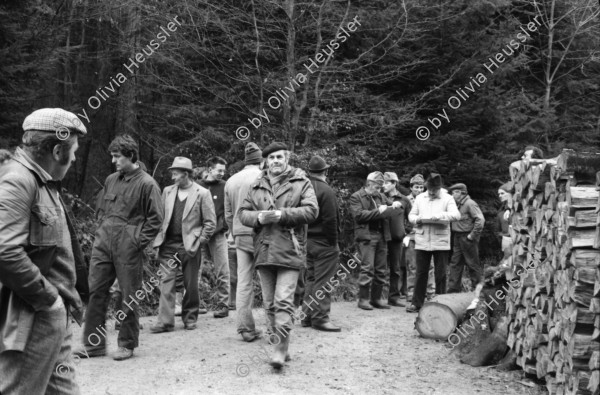 Image of sheet 19880040 photo 14: alter Männer stehen zusammen an Holzgant.Sie schreiben sich die Preise auf. Percy Heussler ist auch dabei. Nr. 12 und 13. Die langen Holz Stiehle zum Cervelats Braten liegen bereit. Die Männer braten Cervelats über dem Feuer. Ein alter Mann zeigt in die Luft. Die Cervelats liegen zum Braten bereit. Die Männer geniessen etwas warmes in der winterlichen Kälte. (!) Holzgant Holzverarbeitung Fällanden Kanton Zürich Schweiz wood forest market man men meat sausage