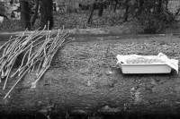 Image of sheet 19880040 photo 17: alter Männer stehen zusammen an Holzgant.Sie schreiben sich die Preise auf. Percy Heussler ist auch dabei. Nr. 12 und 13. Die langen Holz Stiehle zum Cervelats Braten liegen bereit. Die Männer braten Cervelats über dem Feuer. Ein alter Mann zeigt in die Luft. Die Cervelats liegen zum Braten bereit. Die Männer geniessen etwas warmes in der winterlichen Kälte. (!) Holzgant Holzverarbeitung Fällanden Kanton Zürich Schweiz wood forest market man men meat sausage
