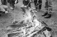 Image of sheet 19880040 photo 19: alter Männer stehen zusammen an Holzgant.Sie schreiben sich die Preise auf. Percy Heussler ist auch dabei. Nr. 12 und 13. Die langen Holz Stiehle zum Cervelats Braten liegen bereit. Die Männer braten Cervelats über dem Feuer. Ein alter Mann zeigt in die Luft. Die Cervelats liegen zum Braten bereit. Die Männer geniessen etwas warmes in der winterlichen Kälte. (!) Holzgant Holzverarbeitung Fällanden Kanton Zürich Schweiz wood forest market man men meat sausage