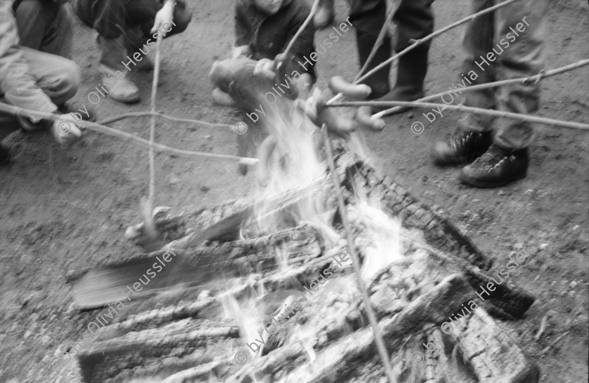 Image of sheet 19880040 photo 19: alter Männer stehen zusammen an Holzgant.Sie schreiben sich die Preise auf. Percy Heussler ist auch dabei. Nr. 12 und 13. Die langen Holz Stiehle zum Cervelats Braten liegen bereit. Die Männer braten Cervelats über dem Feuer. Ein alter Mann zeigt in die Luft. Die Cervelats liegen zum Braten bereit. Die Männer geniessen etwas warmes in der winterlichen Kälte. (!) Holzgant Holzverarbeitung Fällanden Kanton Zürich Schweiz wood forest market man men meat sausage