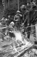 Image of sheet 19880040 photo 21: alter Männer stehen zusammen an Holzgant.Sie schreiben sich die Preise auf. Percy Heussler ist auch dabei. Nr. 12 und 13. Die langen Holz Stiehle zum Cervelats Braten liegen bereit. Die Männer braten Cervelats über dem Feuer. Ein alter Mann zeigt in die Luft. Die Cervelats liegen zum Braten bereit. Die Männer geniessen etwas warmes in der winterlichen Kälte. (!) Holzgant Holzverarbeitung Fällanden Kanton Zürich Schweiz wood forest market man men meat sausage
