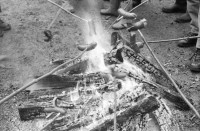 Image of sheet 19880040 photo 22: alter Männer stehen zusammen an Holzgant.Sie schreiben sich die Preise auf. Percy Heussler ist auch dabei. Nr. 12 und 13. Die langen Holz Stiehle zum Cervelats Braten liegen bereit. Die Männer braten Cervelats über dem Feuer. Ein alter Mann zeigt in die Luft. Die Cervelats liegen zum Braten bereit. Die Männer geniessen etwas warmes in der winterlichen Kälte. (!) Holzgant Holzverarbeitung Fällanden Kanton Zürich Schweiz wood forest market man men meat sausage