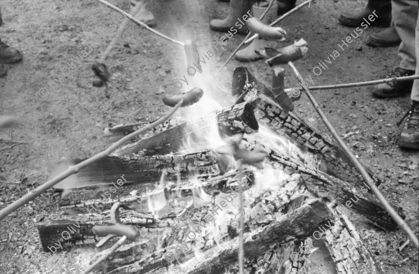 Image of sheet 19880040 photo 22: alter Männer stehen zusammen an Holzgant.Sie schreiben sich die Preise auf. Percy Heussler ist auch dabei. Nr. 12 und 13. Die langen Holz Stiehle zum Cervelats Braten liegen bereit. Die Männer braten Cervelats über dem Feuer. Ein alter Mann zeigt in die Luft. Die Cervelats liegen zum Braten bereit. Die Männer geniessen etwas warmes in der winterlichen Kälte. (!) Holzgant Holzverarbeitung Fällanden Kanton Zürich Schweiz wood forest market man men meat sausage