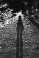 Image of sheet 19880110 photo 2: Bauernhof bei Luzern. Selbstportrait von Olivia Heussler.  frtsg. 880111 Schauspieler Schweizer Mathias Gnädinger im Depot Tiefenbrunnen Schuld und Sühne. Portrait für SI Zürich Schweiz 1988 Schweizer Illustrierte Theater 1988 schweiz Switzerland actor theater cinema film swiss