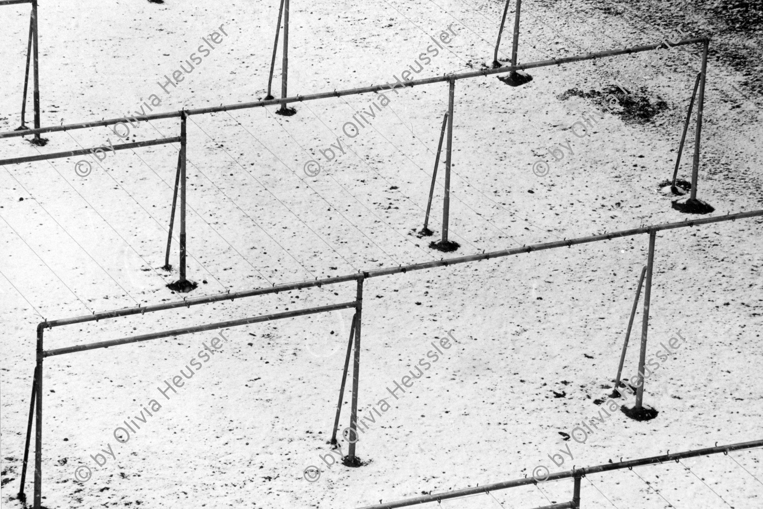 Image of sheet 19880180 photo 1: Leere Wäscheständer und Leinen.