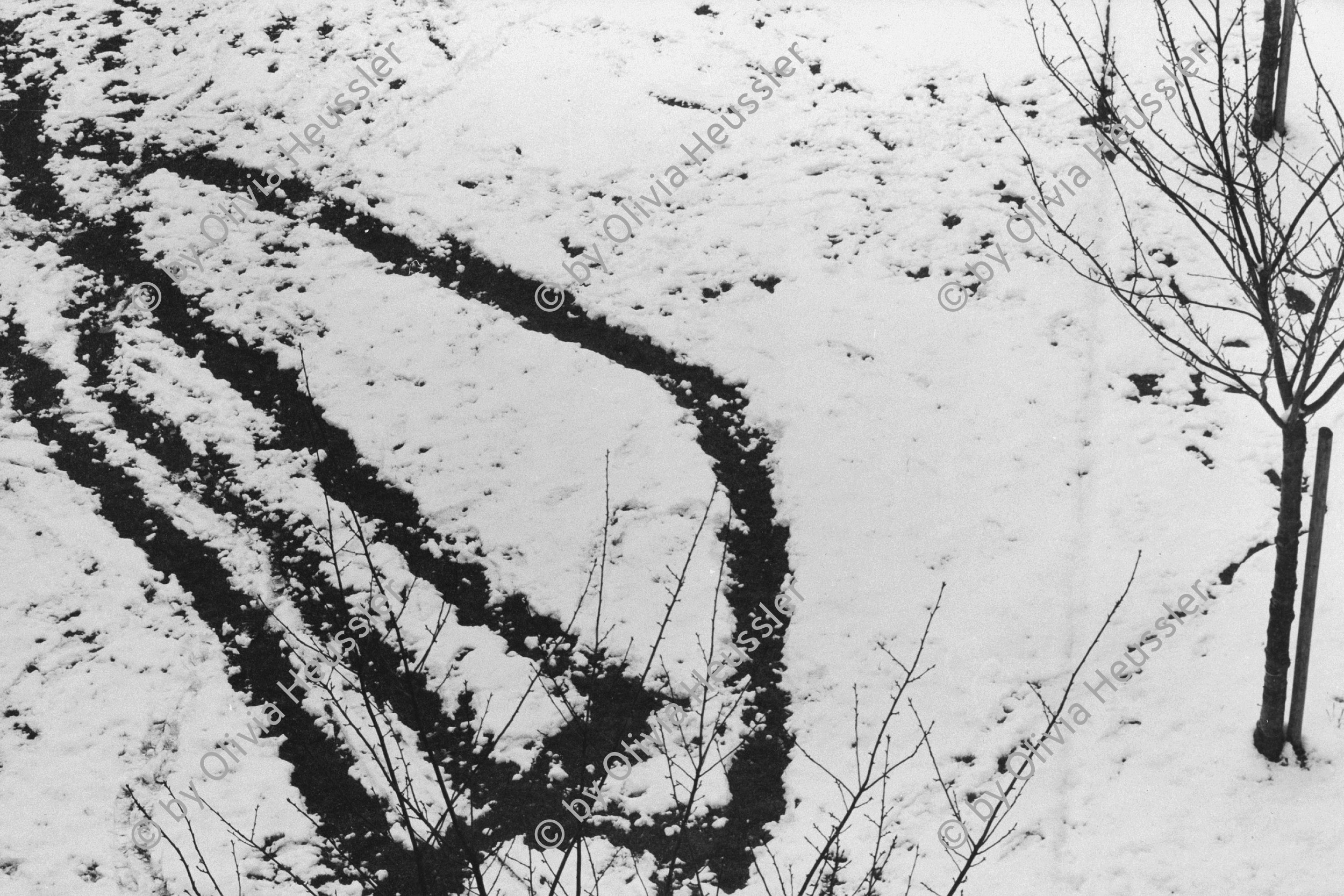 Image of sheet 19880180 photo 16: Winterszenen im Innenhof der städtischen Siedlung Erismannhof. Spuren im Schnee. Winter vor dem Umbau. Zürich 1988 √ Aussersihl Kreis vier 4
swiss  Schweizer Schweiz Switzerland Europe snow tracks
© 1988, by OLIVIA HEUSSLER / www.clic.li