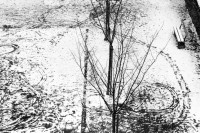 Image of sheet 19880180 photo 5: Winterszenen