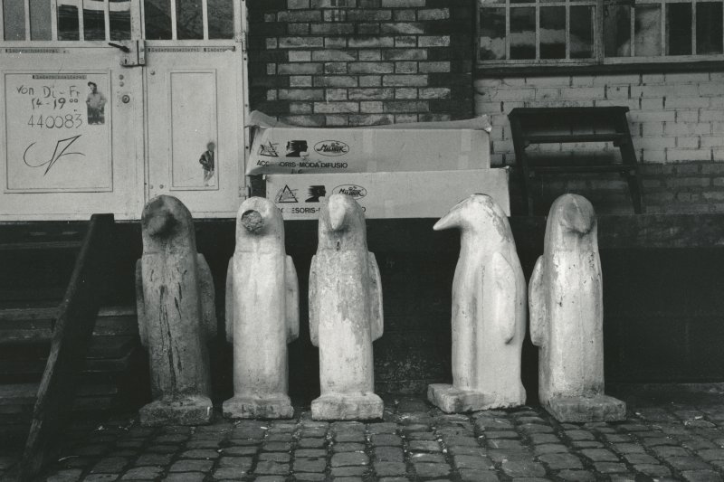 Image of sheet 19880231 photo 11: Pinguine von Fritz Müller, Zürich 1988.