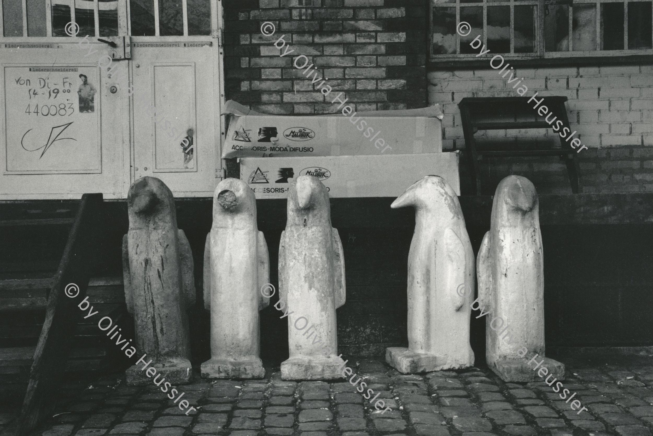 Image of sheet 19880231 photo 11: Pinguine von Fritz Müller, Zürich 1988.