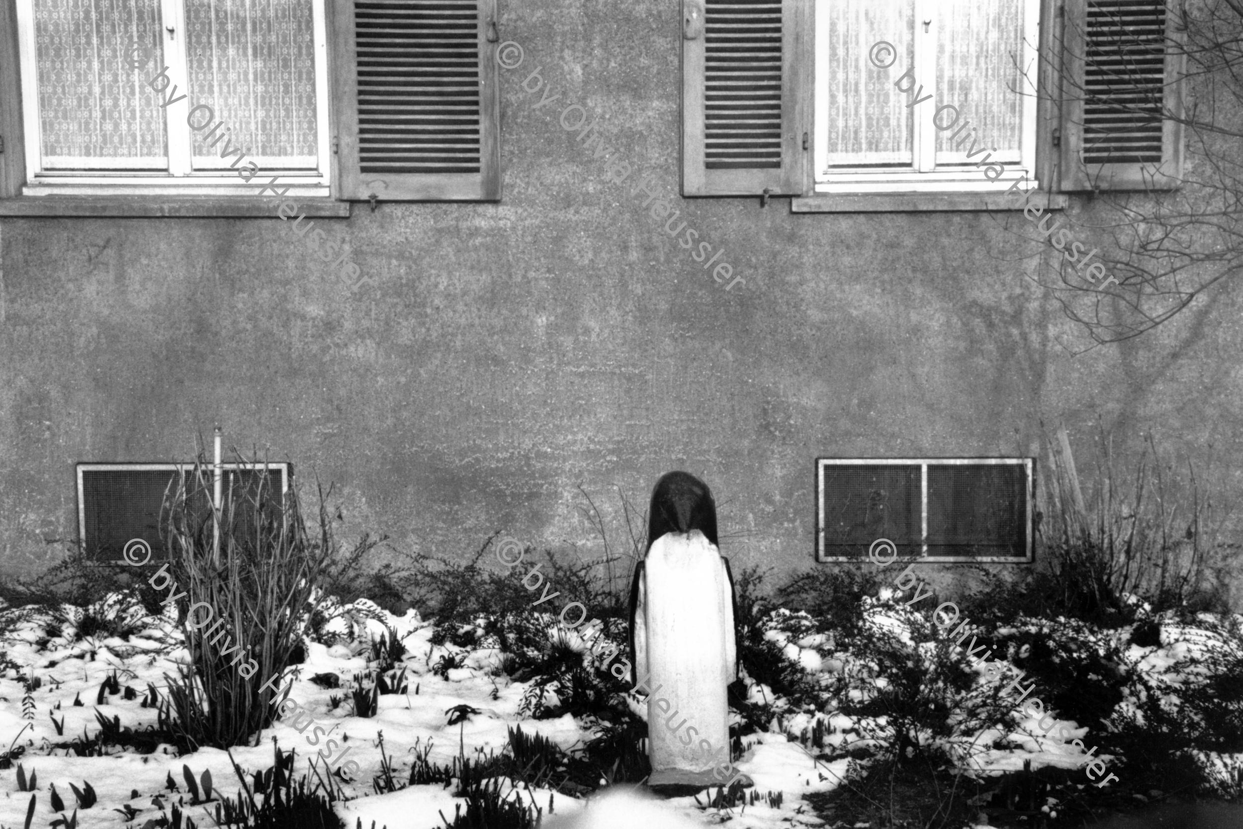 Image of sheet 19880231 photo 4: ©