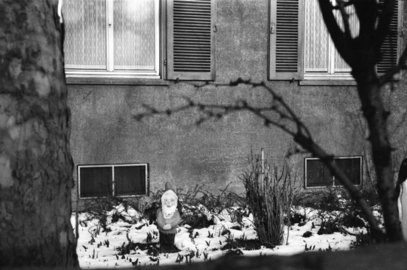 Image of sheet 19880231 photo 5: D
